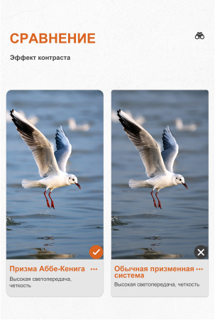 Бинокль Eyeskey Zenith ED -10x42 EyeS-B120 от прозводителя Eyeskey