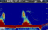 Raymarine CP570 E70258 от прозводителя Raymarine