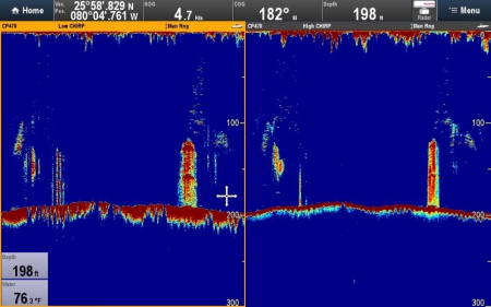 Raymarine CP470 E70298 от прозводителя Raymarine