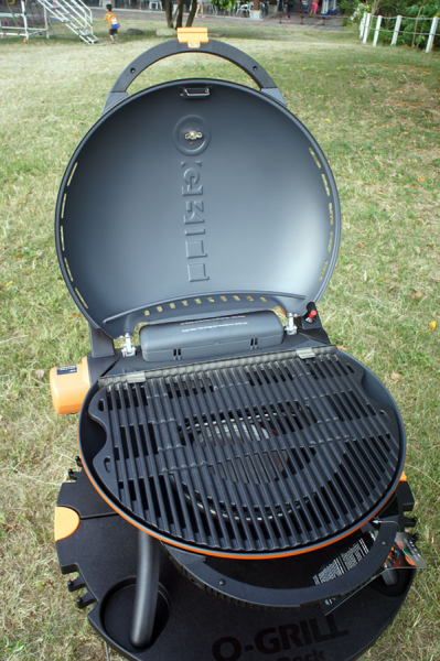 Решетка чугунная 700/800 GRID_700 от прозводителя O-GRILL